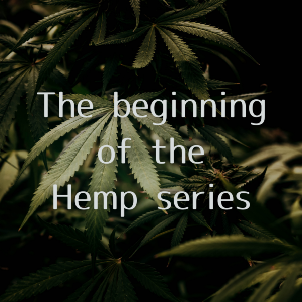 Takane Sewing Studio が、ずっと追い続けてきた夢を実現させます！